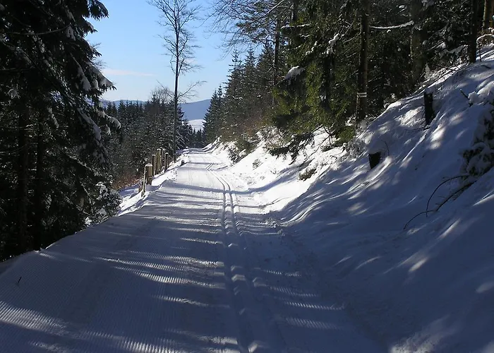 Můza